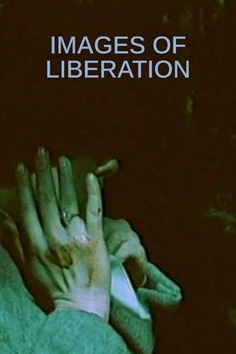 Images of Liberation Poster of Images of Liberation