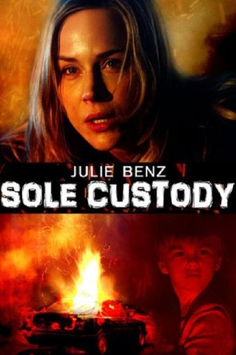 Sole Custody Poster of Sole Custody