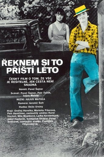 Řeknem si to příští léto Poster of Řeknem si to příští léto