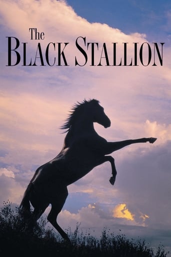 The Black Stallion Poster of The Black Stallion