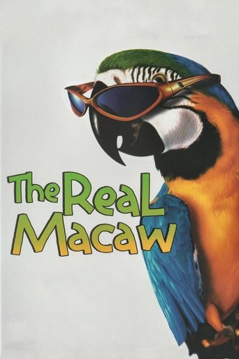 The Real Macaw Poster of The Real Macaw