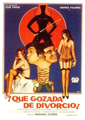 ¡Qué gozada de divorcio! Poster of ¡Qué gozada de divorcio!
