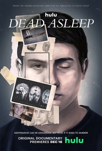 The Sleepwalker Poster of The Sleepwalker