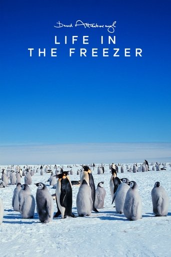 Life in the Freezer Poster of Life in the Freezer