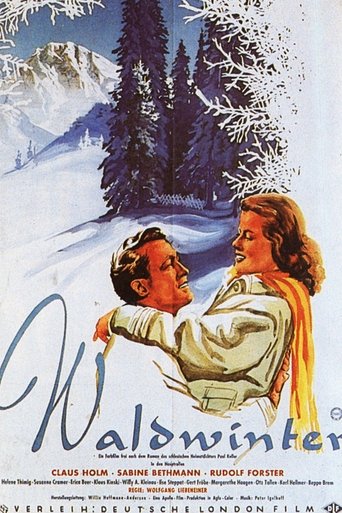 Waldwinter Poster of Waldwinter