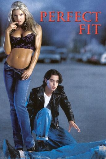 Perfect Fit Poster of Perfect Fit
