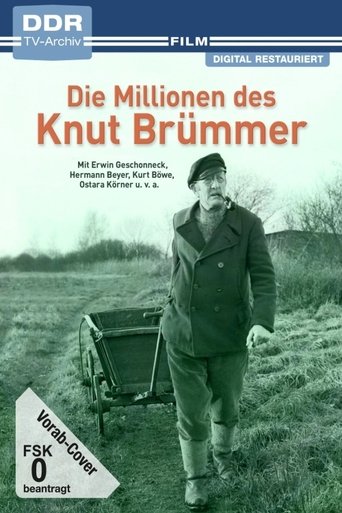 Die Millionen des Knut Brümmer Poster of Die Millionen des Knut Brümmer
