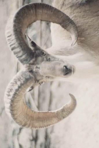 Paradies der Tiere Poster of Paradies der Tiere