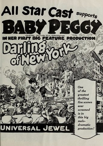 The Darling of New York Poster of The Darling of New York