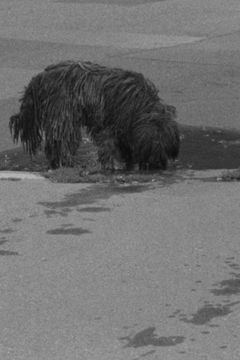 Puddles, I Don't Know Poster of Puddles, I Don't Know