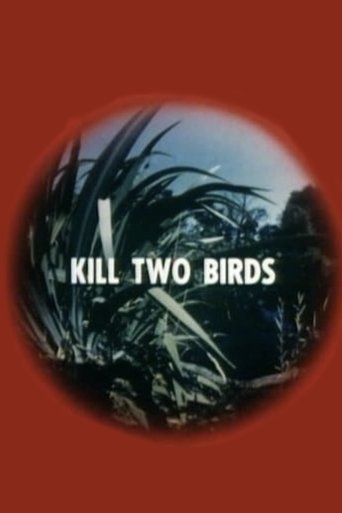 Kill Two Birds Poster of Kill Two Birds
