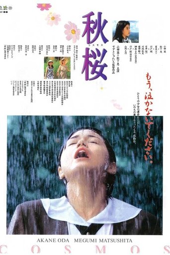 Remembering the Cosmos Flower Poster of Remembering the Cosmos Flower