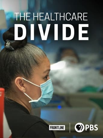 The Healthcare Divide Poster of The Healthcare Divide