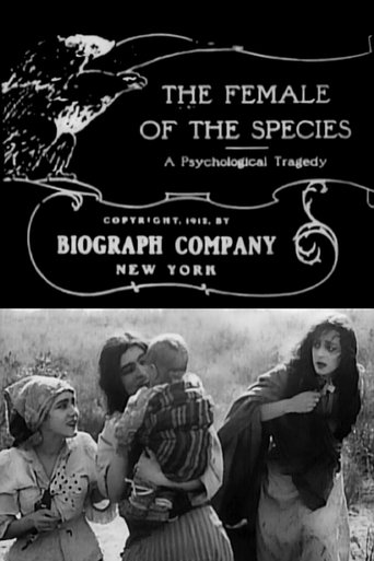 The Female of the Species Poster of The Female of the Species