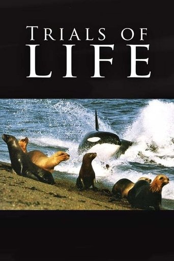 The Trials of Life Poster of The Trials of Life