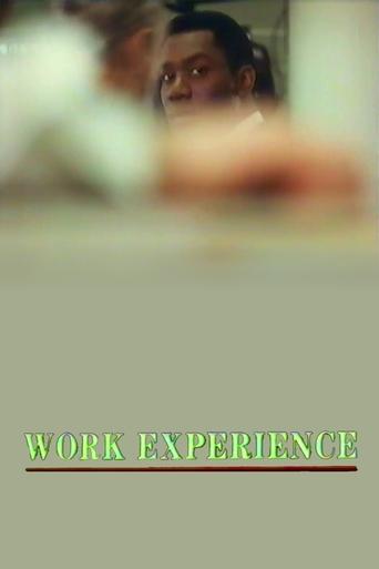 Work Experience Poster of Work Experience