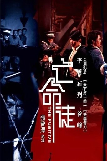 The Fugitive Poster of The Fugitive
