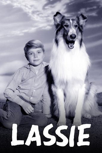 Lassie Poster of Lassie