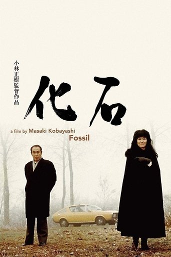 The Fossil Poster of The Fossil