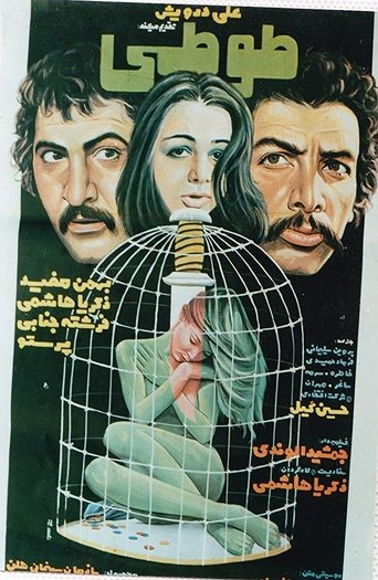 Parrot Poster of Parrot