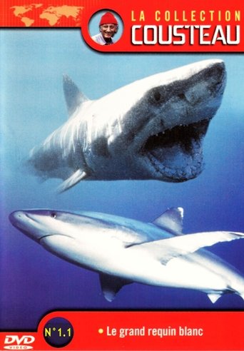 La Collection Cousteau N° 1 | Le Grand Requin Blanc | Les Requins Dormeurs Du Yucatan Poster of La Collection Cousteau N° 1 | Le Grand Requin Blanc | Les Requins Dormeurs Du Yucatan