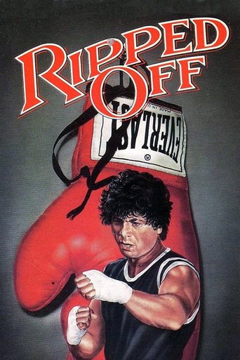The Boxer Poster of The Boxer
