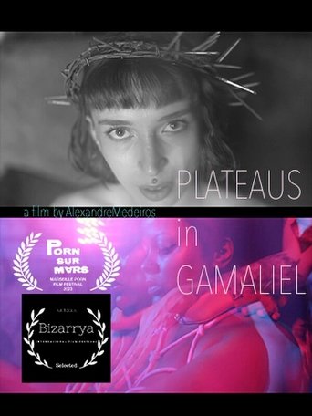 Plateaus in Gamaliel Poster of Plateaus in Gamaliel