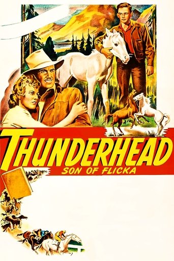 Thunderhead: Son of Flicka Poster of Thunderhead: Son of Flicka