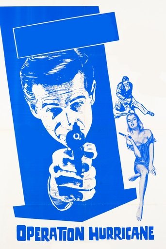 The Violin Case Murders Poster of The Violin Case Murders