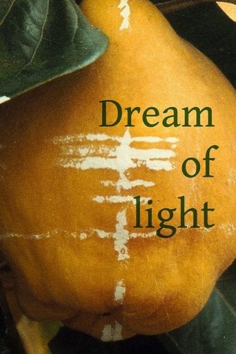 Dream of Light Poster of Dream of Light