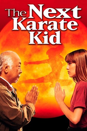 The Next Karate Kid Poster of The Next Karate Kid