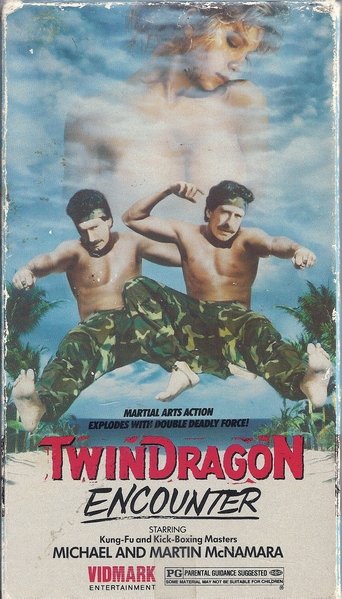 Twin Dragon Encounter Poster of Twin Dragon Encounter