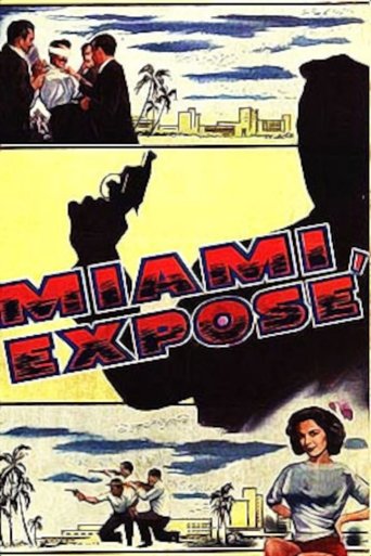 Miami Exposé Poster of Miami Exposé