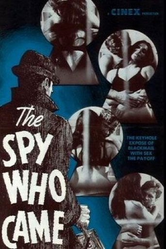 The Spy Who Came Poster of The Spy Who Came