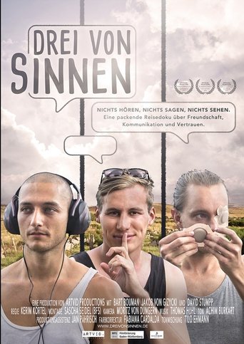 Drei von Sinnen Poster of Drei von Sinnen