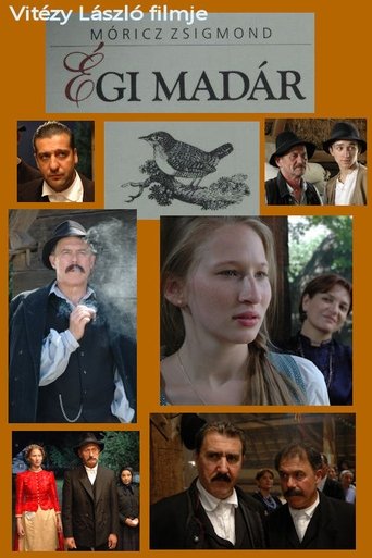 Égi madár Poster of Égi madár