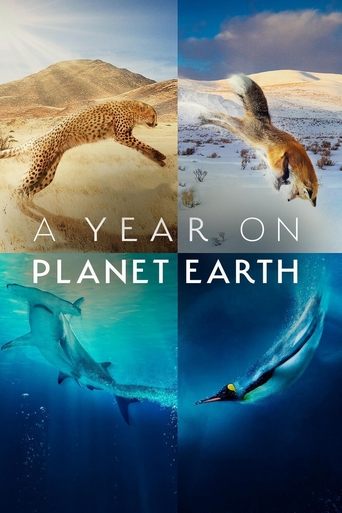 A Year on Planet Earth Poster of A Year on Planet Earth