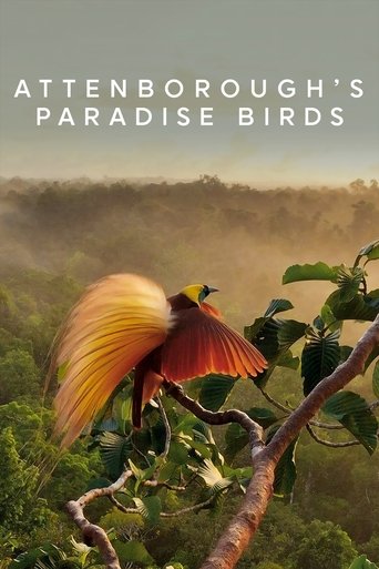 Attenborough's Paradise Birds Poster of Attenborough's Paradise Birds