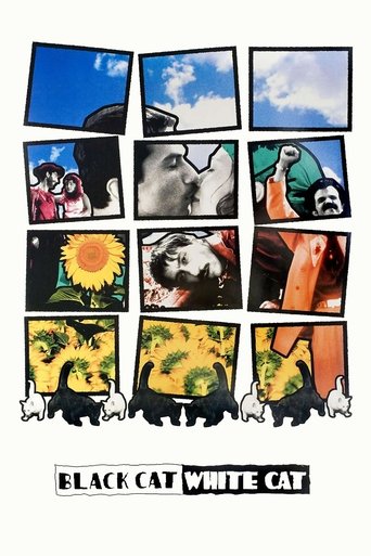 Black Cat, White Cat Poster of Black Cat, White Cat