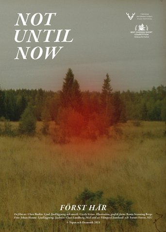 Not Until Now Poster of Not Until Now