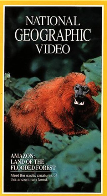 Amazon: Land of the Flooded Forest Poster of Amazon: Land of the Flooded Forest