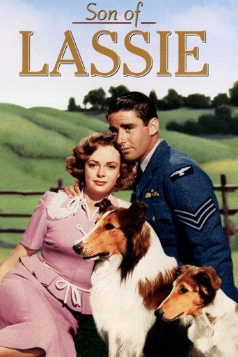 Son of Lassie Poster of Son of Lassie