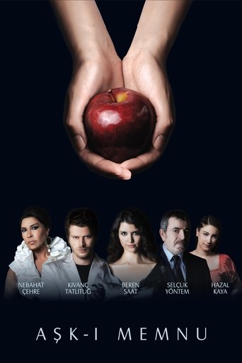 Forbidden Love Poster of Forbidden Love