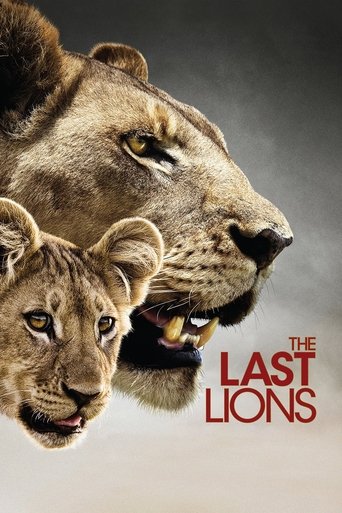 The Last Lions Poster of The Last Lions