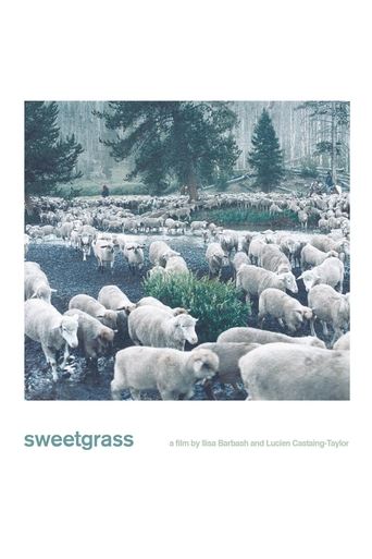 Sweetgrass Poster of Sweetgrass