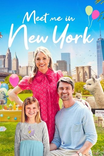 Meet Me in New York Poster of Meet Me in New York