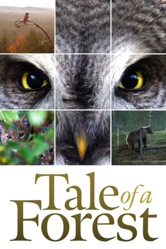 Tale of a Forest Poster of Tale of a Forest