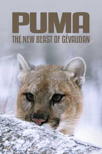 Cougar: On the Trail of the Ghost Cat Poster of Cougar: On the Trail of the Ghost Cat