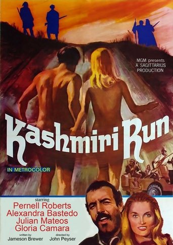 The Kashmiri Run Poster of The Kashmiri Run