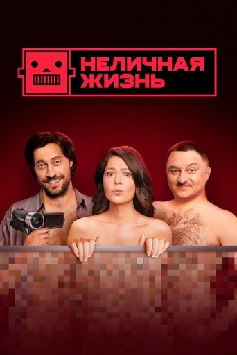 Not a Personal Life Poster of Not a Personal Life